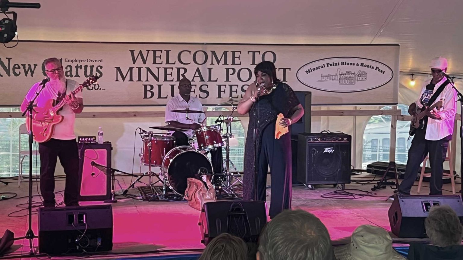 Mineral Point Blues & Roots Fest Aug. 1617, 2024
